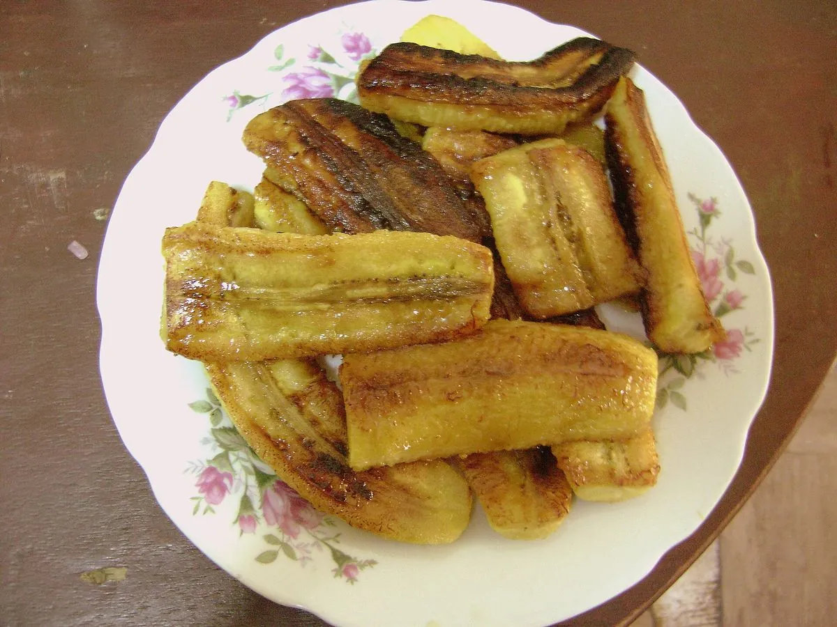 Alloco