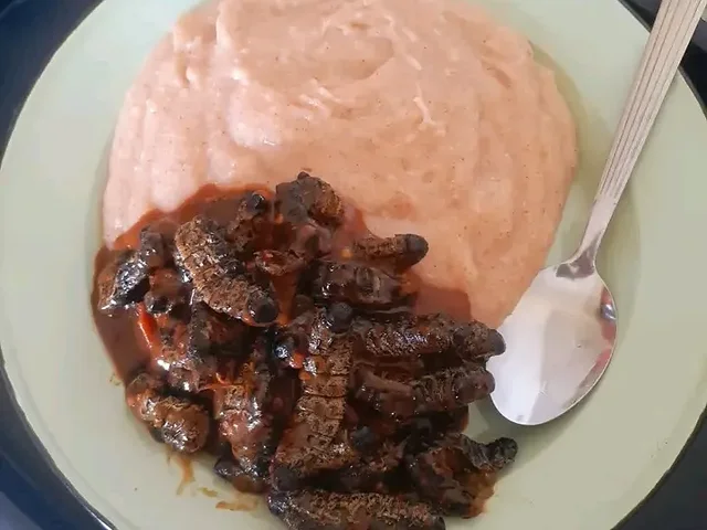 Bogobe de sorgo