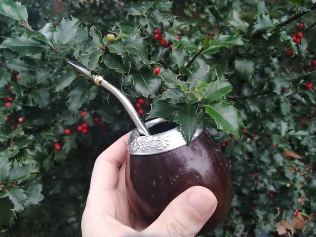 Mate