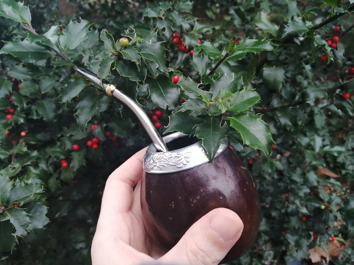 Mate