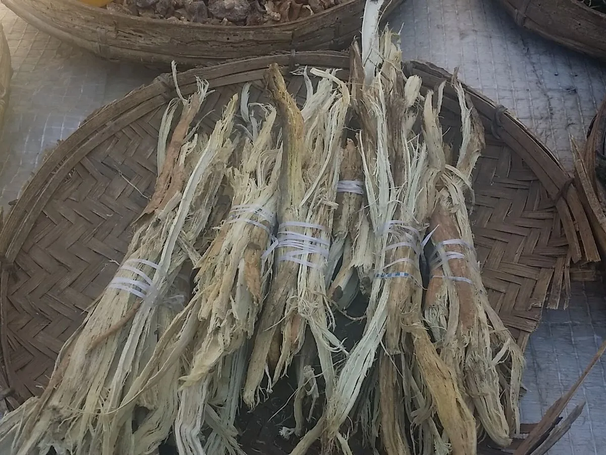 Munkoyo