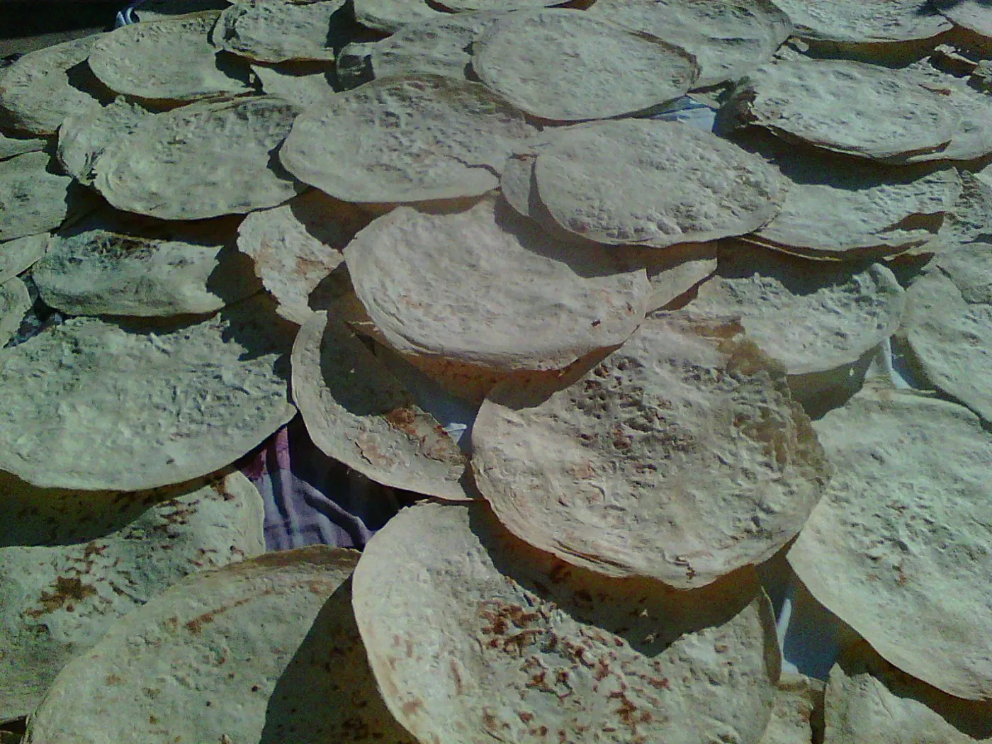 Nan lavash