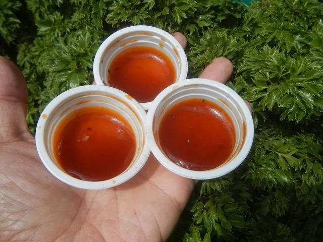 Salsa agridulce