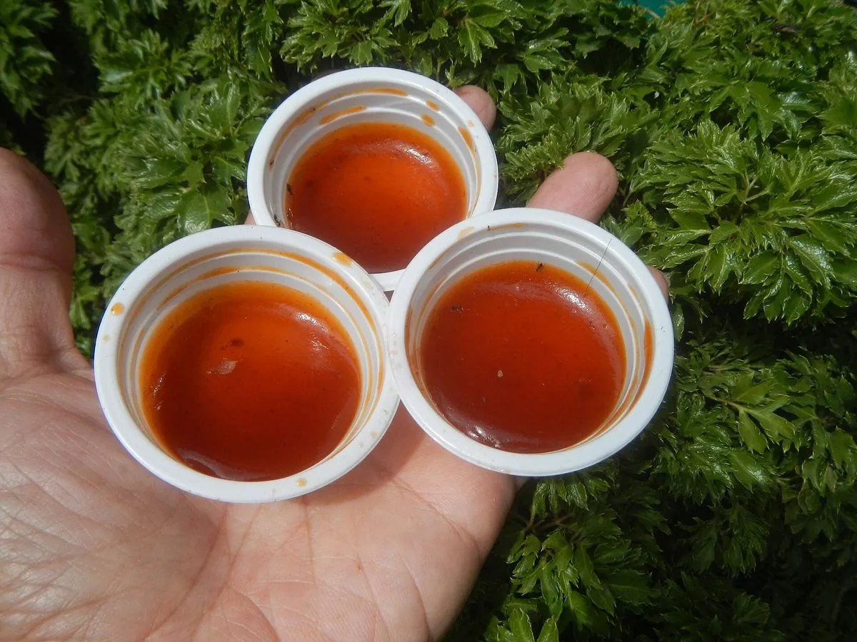 Salsa agridulce