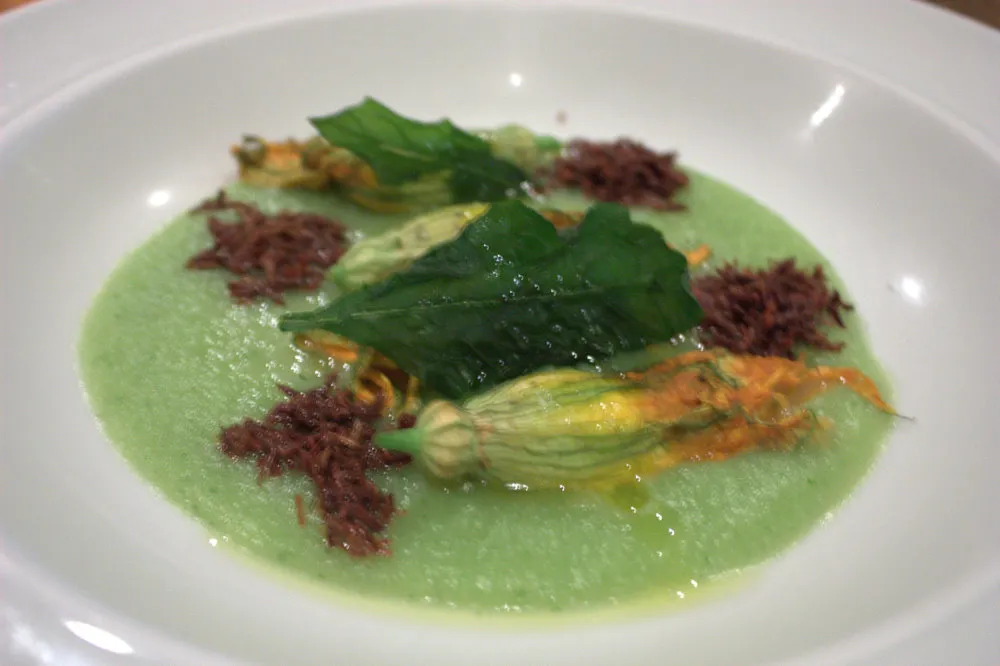 Sopa de flor de calabaza