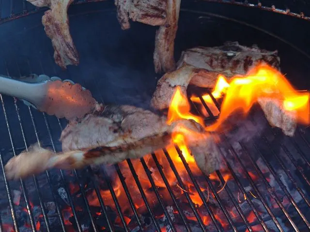 Pinzas de parrilla